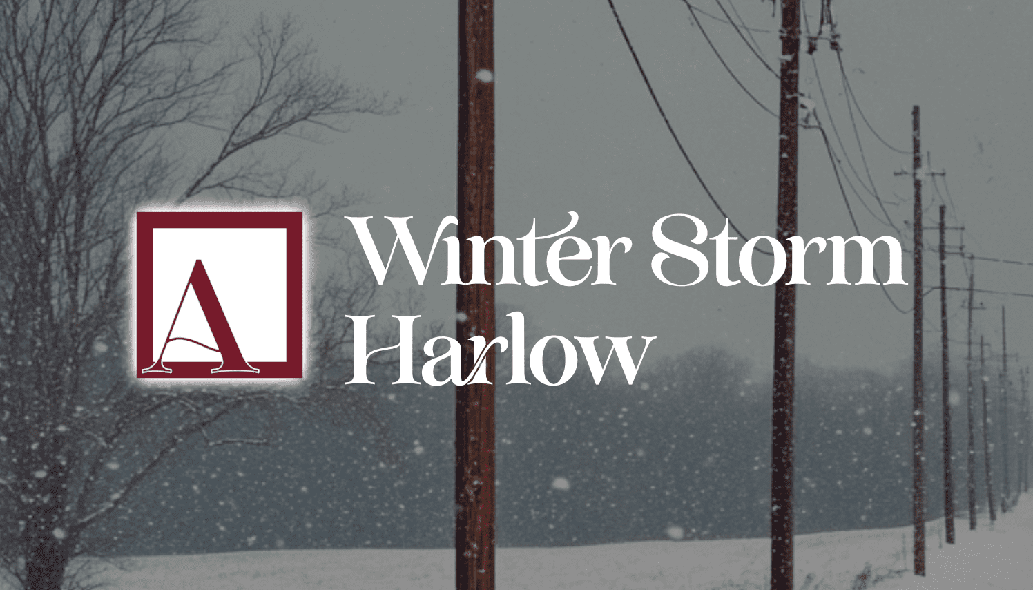 Dozens Still Without Power as Winter Storm Harlow Shocks the Region