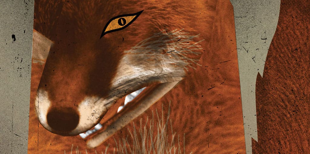Central Virginia Health District Confirms Rabies in a Fox